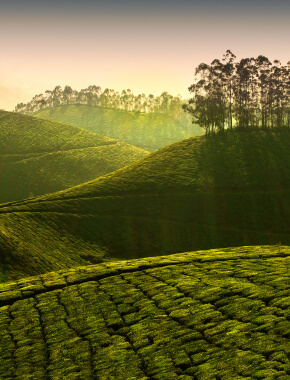 4N5D Kerala Season Plan - 1